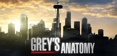 Grey's Anathomy